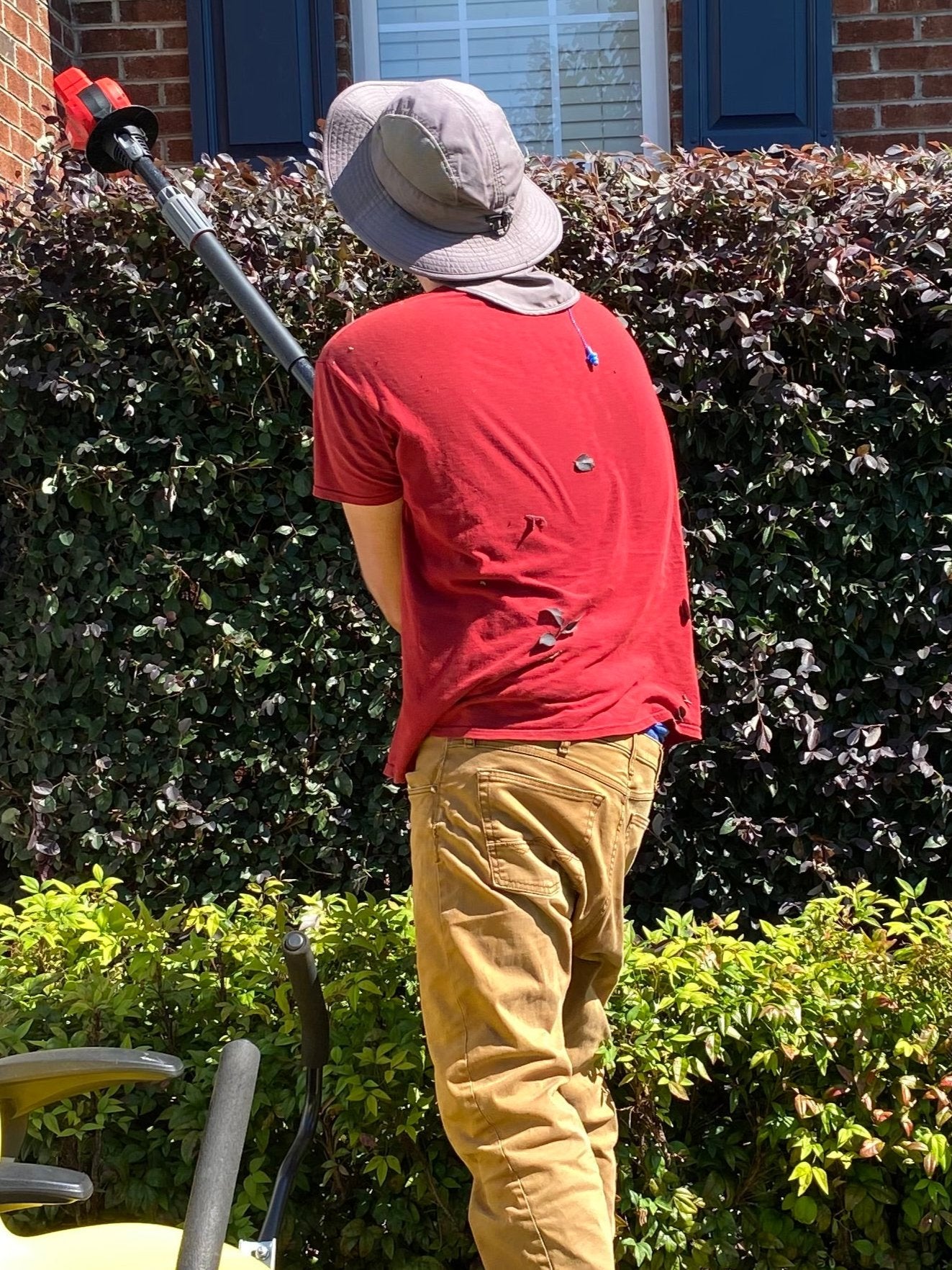 Hedge Trimming