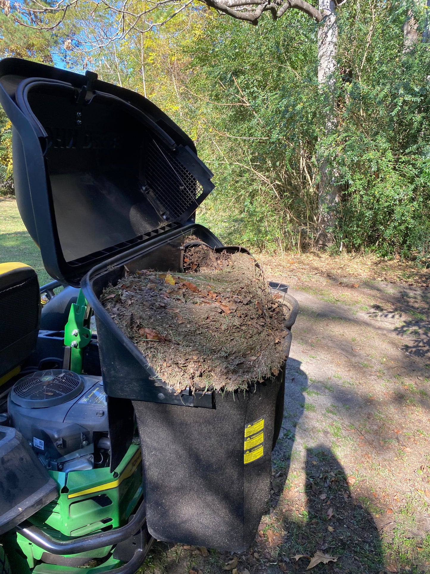 Leaf & Pinestraw Cleanup