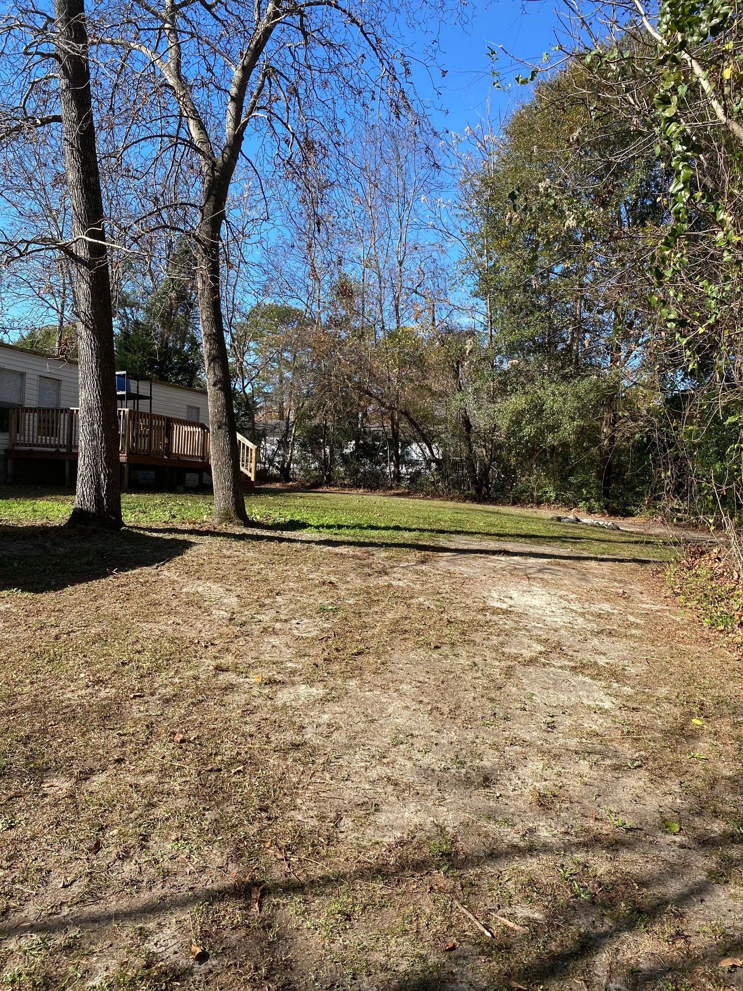 Leaf & Pinestraw Cleanup