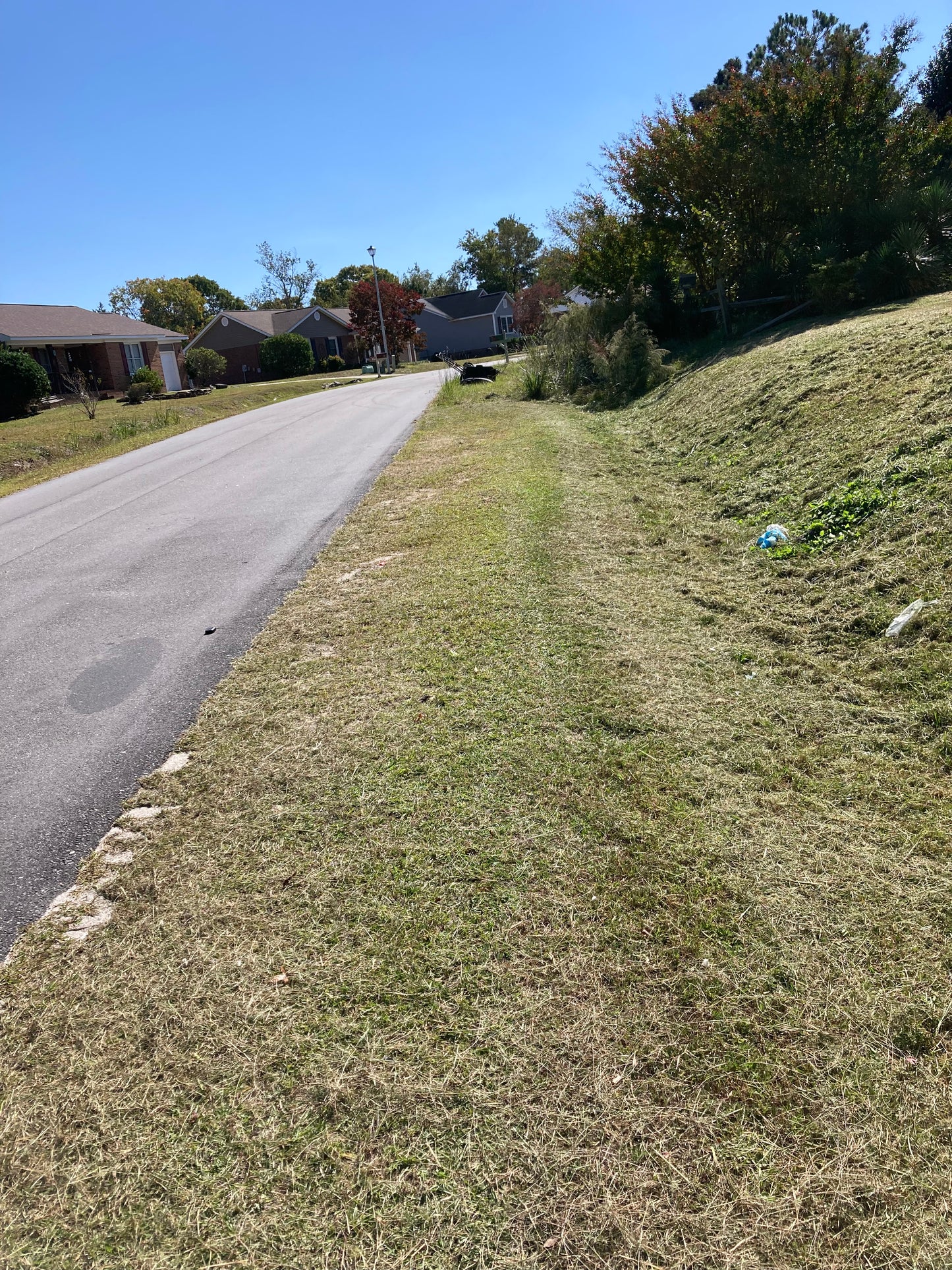 Initial Cuts (Tall Grass)