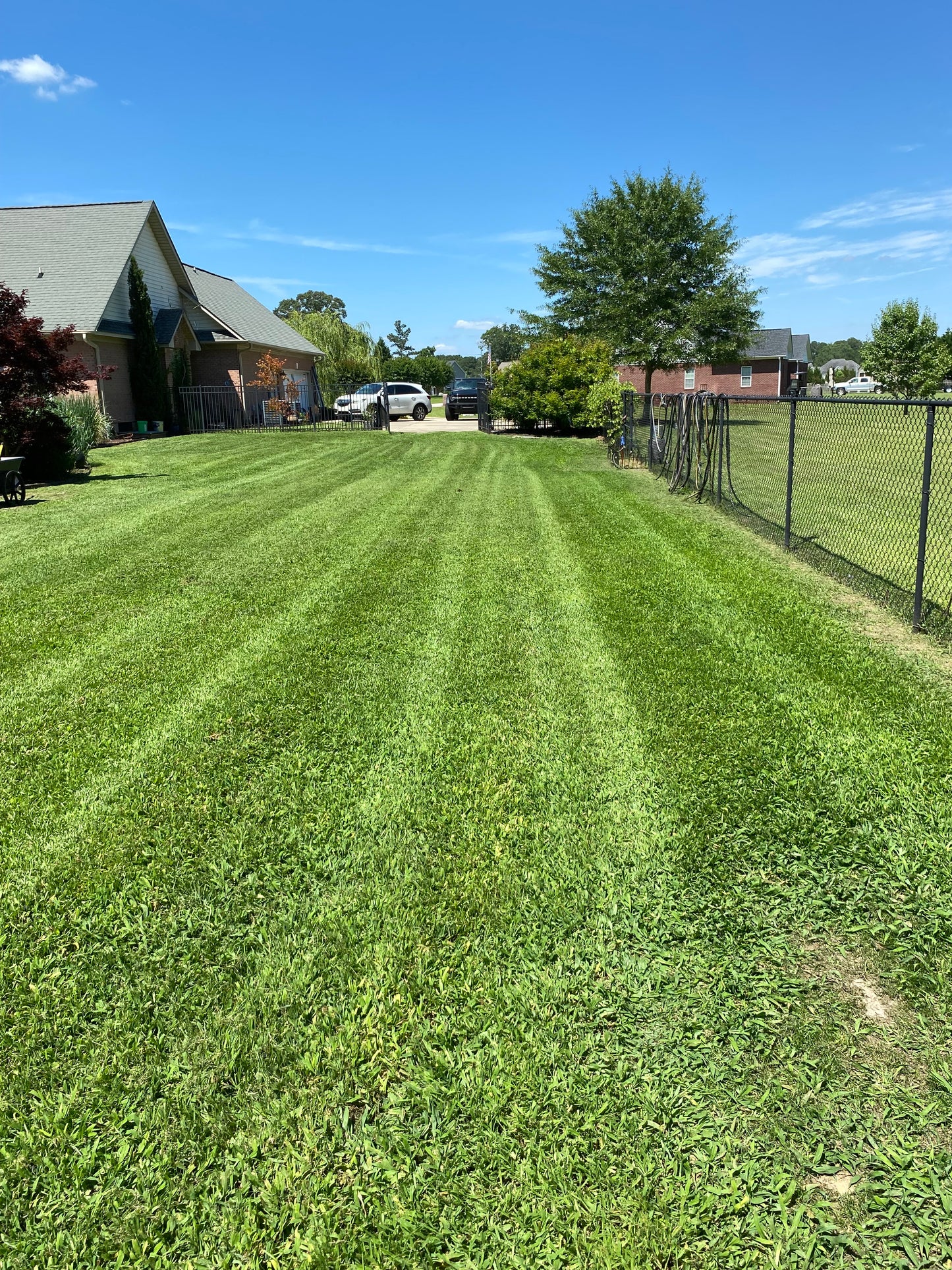 Routine Lawn Maintenance