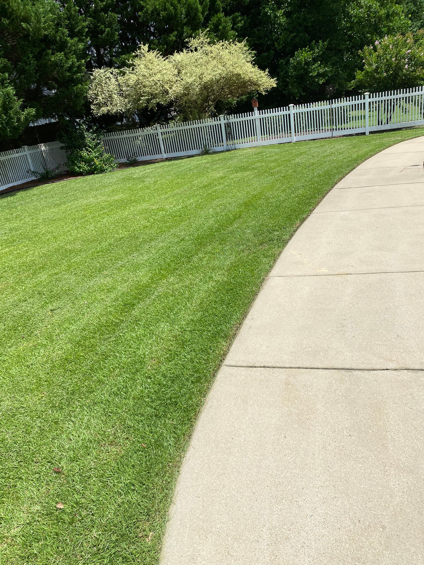 Routine Lawn Maintenance